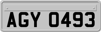 AGY0493