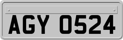 AGY0524