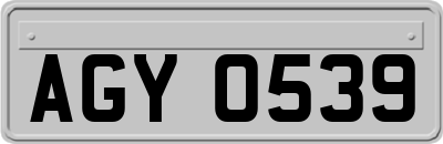 AGY0539