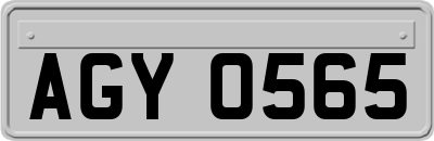 AGY0565
