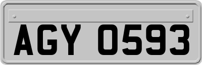 AGY0593