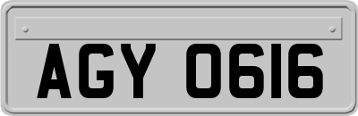 AGY0616