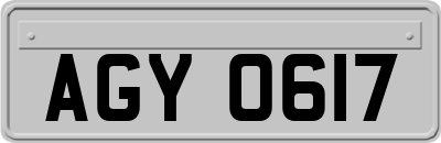 AGY0617