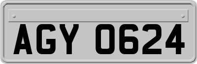 AGY0624