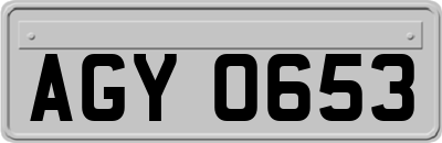 AGY0653