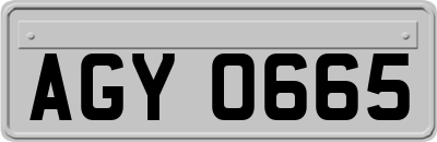AGY0665
