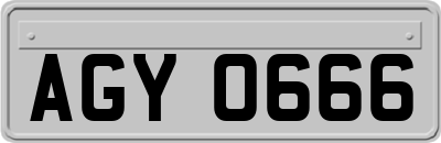 AGY0666