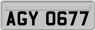 AGY0677