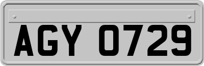 AGY0729