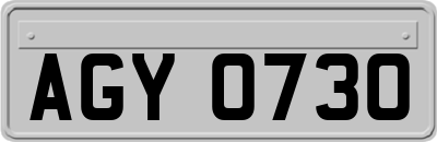 AGY0730