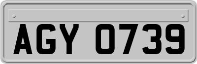 AGY0739