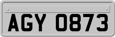 AGY0873