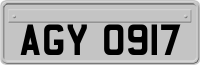 AGY0917