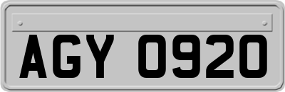AGY0920