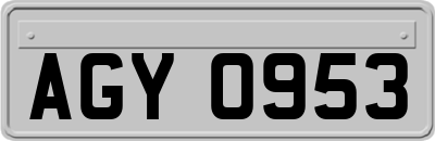 AGY0953