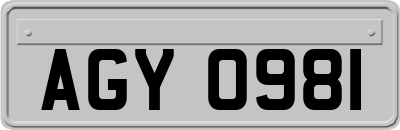 AGY0981