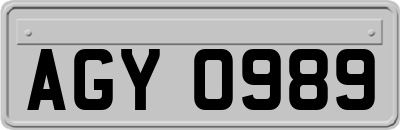 AGY0989
