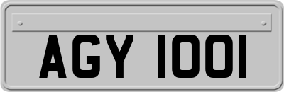AGY1001