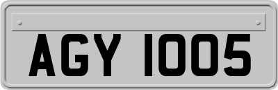 AGY1005