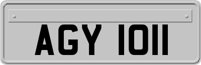 AGY1011