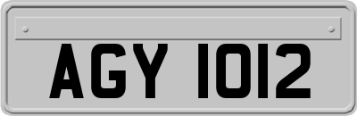 AGY1012