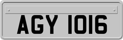 AGY1016