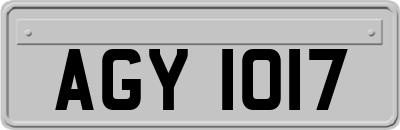 AGY1017