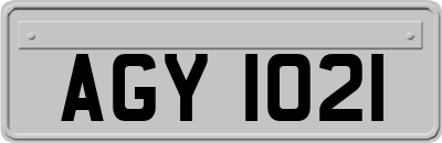 AGY1021