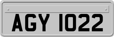 AGY1022