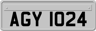 AGY1024