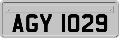 AGY1029