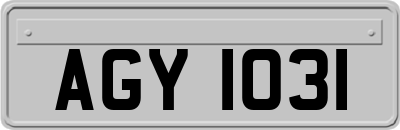 AGY1031