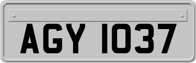 AGY1037