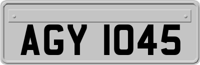 AGY1045