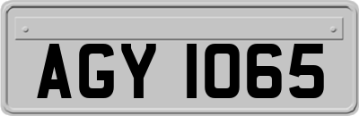 AGY1065
