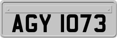 AGY1073