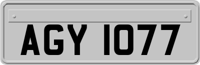 AGY1077