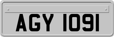 AGY1091