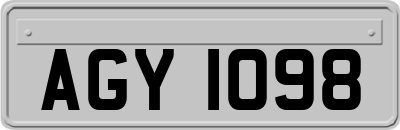AGY1098