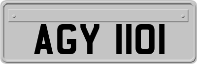 AGY1101