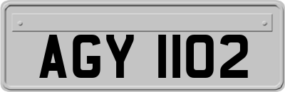 AGY1102