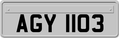 AGY1103