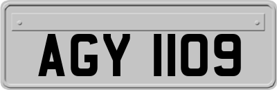 AGY1109