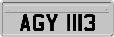 AGY1113