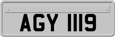 AGY1119