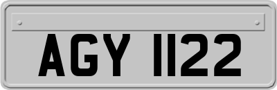 AGY1122