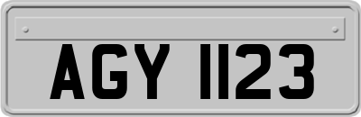 AGY1123
