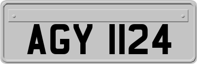 AGY1124