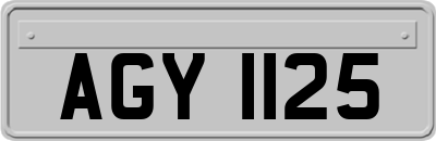 AGY1125
