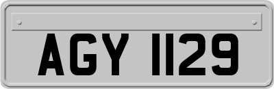 AGY1129